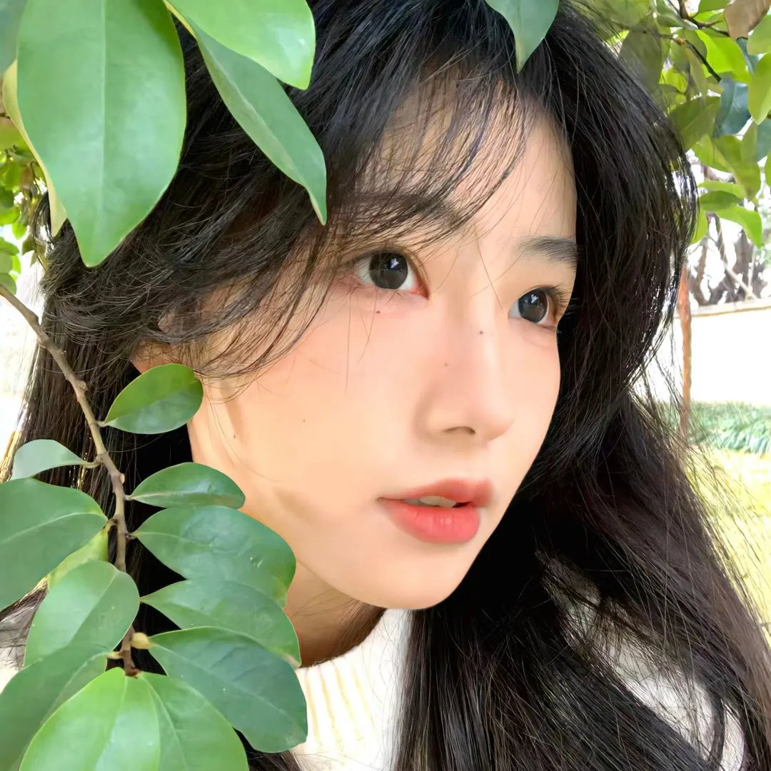 半镜